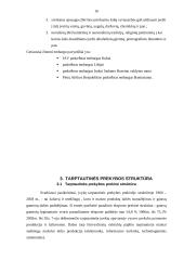 Tarptautinė prekyba ir užsienio investicijos 16 puslapis