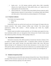 Kompiuterių tinklo įsilaužimo detektoriaus ("Medaus puodynės") įdiegimas Vilniaus Gedimino technikos universiteto tinkle 14 puslapis