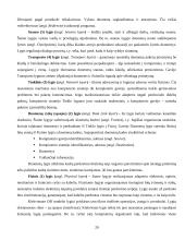 Kompiuterių tinklo įsilaužimo detektoriaus ("Medaus puodynės") įdiegimas Vilniaus Gedimino technikos universiteto tinkle 20 puslapis