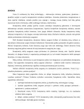 Kompiuterių tinklo įsilaužimo detektoriaus ("Medaus puodynės") įdiegimas Vilniaus Gedimino technikos universiteto tinkle 6 puslapis