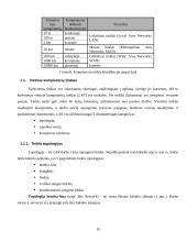 Kompiuterių tinklo įsilaužimo detektoriaus ("Medaus puodynės") įdiegimas Vilniaus Gedimino technikos universiteto tinkle 10 puslapis