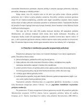 Tarptautinės prekybos komercinėmis paslaugomis raida ir ypatybės 11 puslapis