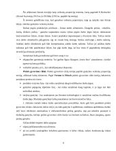 Tarptautinės prekybos komercinėmis paslaugomis raida ir ypatybės 8 puslapis