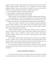 Krovinių terminalo veiklos analizė: krovinių transportavimas UAB "Transekspedicija" 15 puslapis