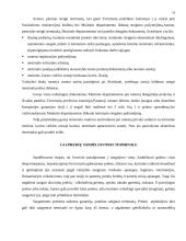 Krovinių terminalo veiklos analizė: krovinių transportavimas UAB "Transekspedicija" 18 puslapis