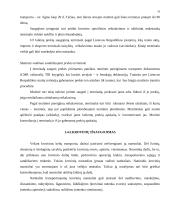 Krovinių terminalo veiklos analizė: krovinių transportavimas UAB "Transekspedicija" 19 puslapis
