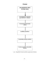 Tarptautinė prekyba bei jos politika 19 puslapis