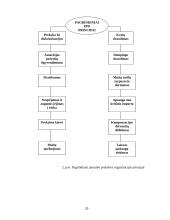 Tarptautinė prekyba bei jos politika 20 puslapis