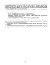 Tarptautinė prekyba bei jos politika 10 puslapis