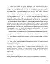 Tarptautiniai ginčai ir jų sprendimas 14 puslapis