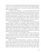 Tarptautiniai ginčai ir jų sprendimas 16 puslapis