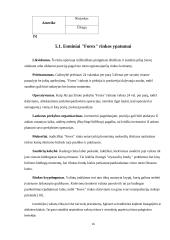 Tarptautinio arbitražo reikšmė tarptautinėje finansų sistemoje 16 puslapis