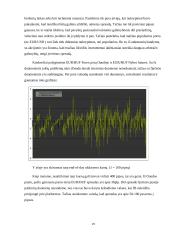 Tarptautinio arbitražo reikšmė tarptautinėje finansų sistemoje 19 puslapis