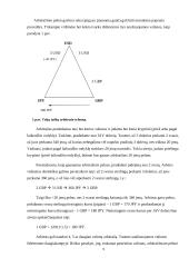 Tarptautinio arbitražo reikšmė tarptautinėje finansų sistemoje 9 puslapis