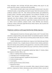 Kulinarijos cecho patiriamų išlaidų įvertinimas ir jų mažinimo būdai: AB "Norfos mažmena" 12 puslapis