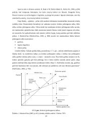 Kulinarijos cecho patiriamų išlaidų įvertinimas ir jų mažinimo būdai: AB "Norfos mažmena" 16 puslapis
