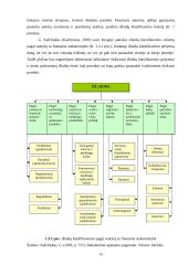 Kulinarijos cecho patiriamų išlaidų įvertinimas ir jų mažinimo būdai: AB "Norfos mažmena" 7 puslapis