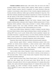 Tarptautinis Valiutos Fondas (International Monetary Fund) 12 puslapis