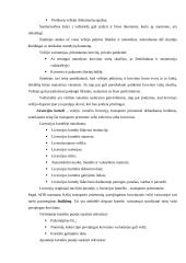 Leidimų rūšys ir jų naudojimas transporto įmonėje vežant krovinius tarptautiniais maršrutais 17 puslapis