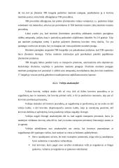 Leidimų rūšys ir jų naudojimas transporto įmonėje vežant krovinius tarptautiniais maršrutais 20 puslapis