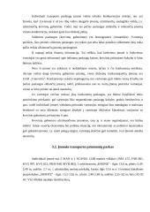 Leidimų rūšys ir jų naudojimas transporto įmonėje vežant krovinius tarptautiniais maršrutais 3 puslapis
