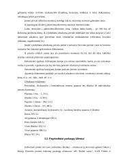 Leidimų rūšys ir jų naudojimas transporto įmonėje vežant krovinius tarptautiniais maršrutais 7 puslapis