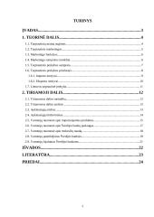 Tarpvalstybinė prekyba su Švedijos bankais 2 puslapis