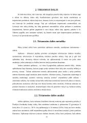 Tarpvalstybinė prekyba su Švedijos bankais 12 puslapis