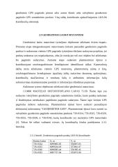Lietuvos poreikiams gaminami ortofotografiniai žemėlapiai 17 puslapis