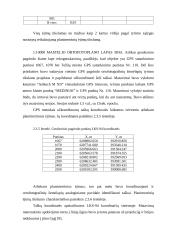 Lietuvos poreikiams gaminami ortofotografiniai žemėlapiai 20 puslapis