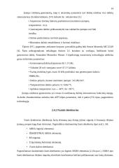 Mažatriukšmis dažnių sintezatorius 15 puslapis