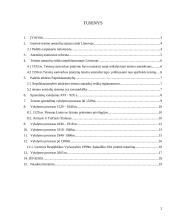 Teismo sprendimų vykdymo institucinė istorinė raida 2 puslapis