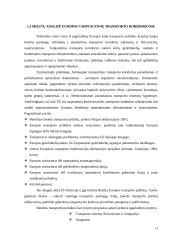 Multimodaliniai gabenimai 13 puslapis