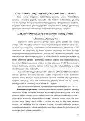 Multimodaliniai gabenimai 16 puslapis