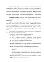 Multimodaliniai gabenimai 17 puslapis