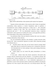 Multimodaliniai gabenimai 19 puslapis