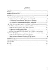 Multimodaliniai gabenimai 4 puslapis