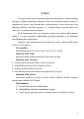 Multimodaliniai gabenimai 5 puslapis