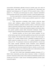 Multimodaliniai gabenimai 10 puslapis
