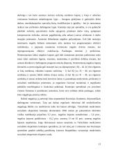 Neįgaliųjų su proto negalia užimtumas 11 puslapis