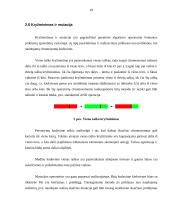 Neuroniniai tinklai ir genetiniai algoritmai 10 puslapis