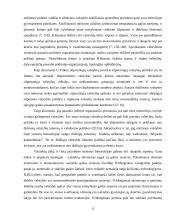 Pasaulinės atvirosios visuomenės modelis XXI amžiuje 16 puslapis