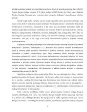 Pasaulinės atvirosios visuomenės modelis XXI amžiuje 18 puslapis