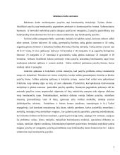 Patyčios tarp bendraamžių mokykloje: pagrindinės priežastys ir formos 2 puslapis