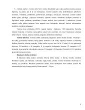 Patyčios tarp bendraamžių mokykloje: pagrindinės priežastys ir formos 6 puslapis