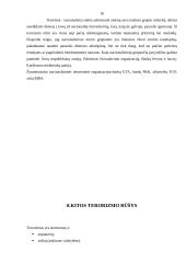 Terorizmo apraiškos. Terorizmo priežastys 16 puslapis