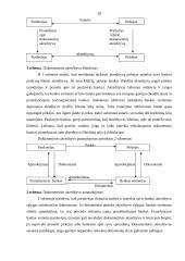 Pinigų ir paskolų apskaita: prekyba naftos produktais UAB "Alauša" 17 puslapis