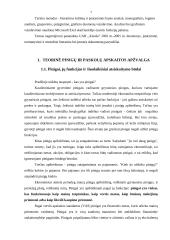 Pinigų ir paskolų apskaita: prekyba naftos produktais UAB "Alauša" 4 puslapis