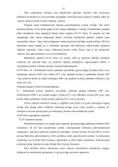 Pinigų ir paskolų apskaita: prekyba naftos produktais UAB "Alauša" 9 puslapis