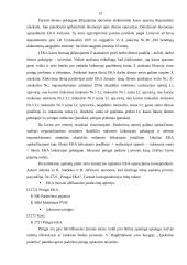 Pinigų ir paskolų apskaita: prekyba naftos produktais UAB "Alauša" 10 puslapis